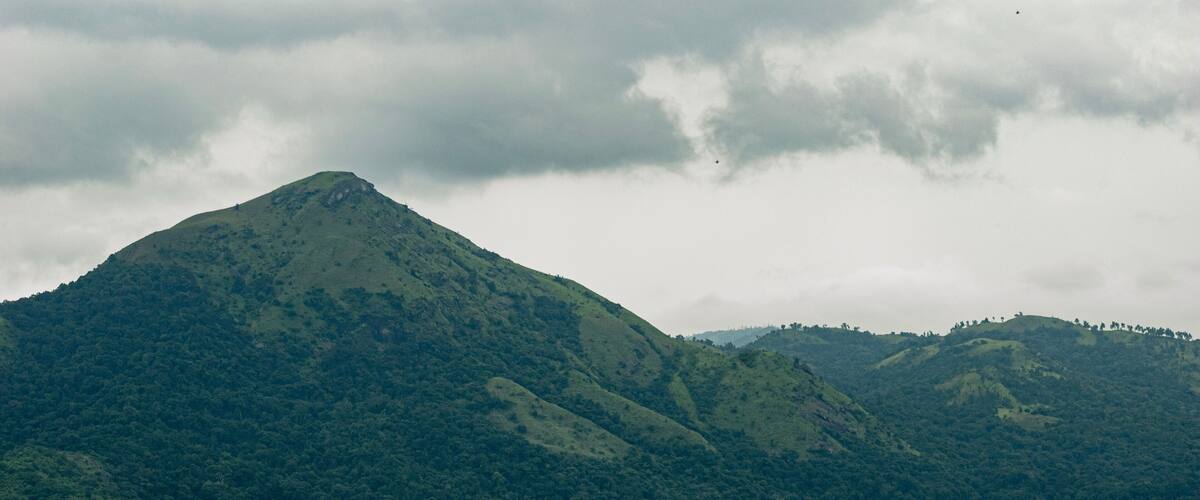 A mountain with dense green forest.