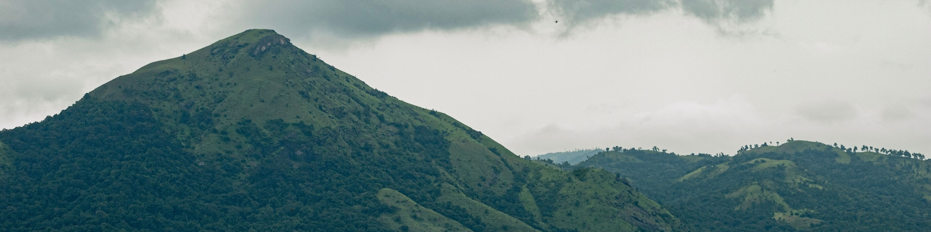 A mountain with dense green forest.