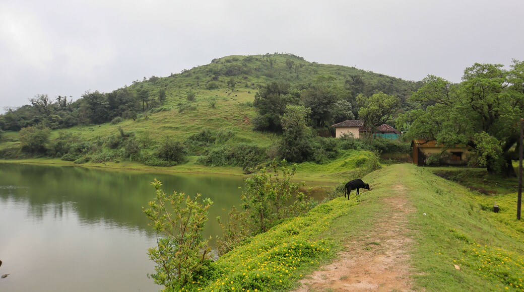 A Countryside view of a landscape with lush vegetation in section of the Western Ghats of Karnataka, India.