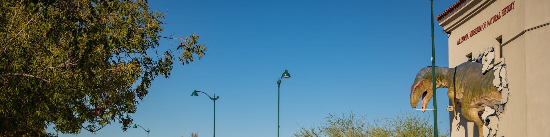 Arizona Museum of Natural History