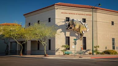 El Museo de Historia Natural de Arizona con un gran mural de dinosaurios en la fachada.