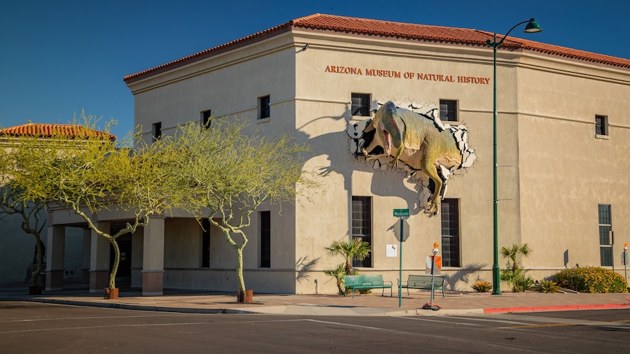 El Museo de Historia Natural de Arizona con un gran mural de dinosaurios en la fachada.