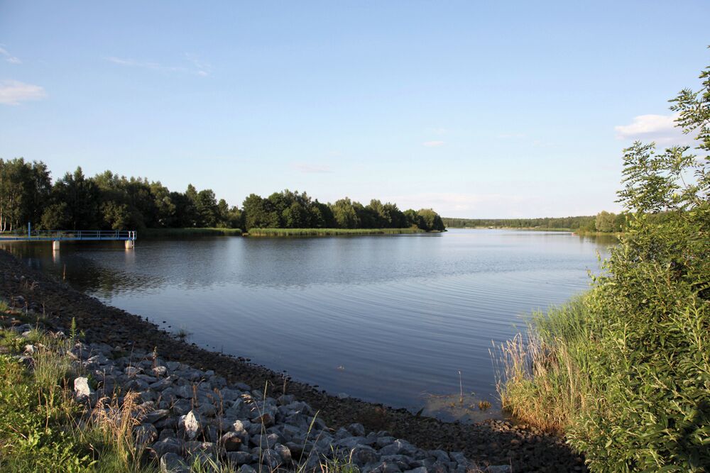 A calm lake with a rocky shoreline, surrounded by dense trees and a clear sky.
