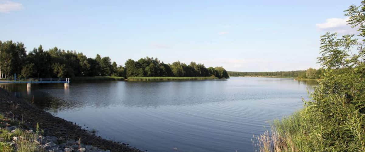 A calm lake with a rocky shoreline, surrounded by dense trees and a clear sky.