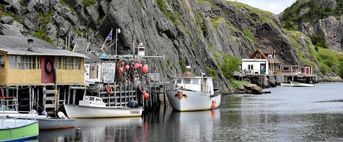Qidi Vidi - St. John's, Newfoundland