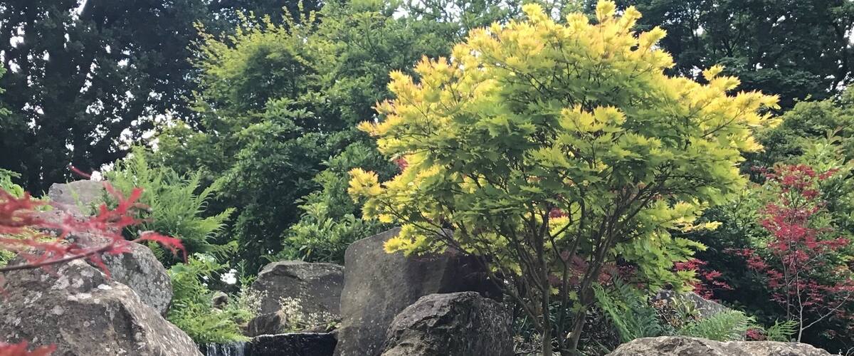 Cool for Sunday lazy walks