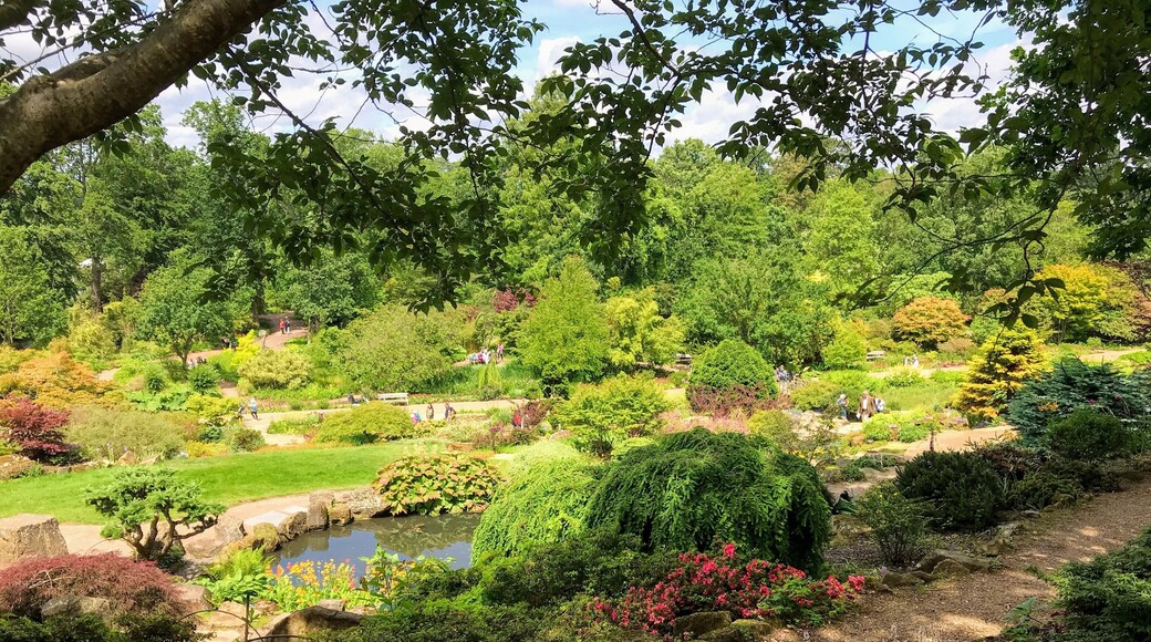 Beautiful gardens to visit