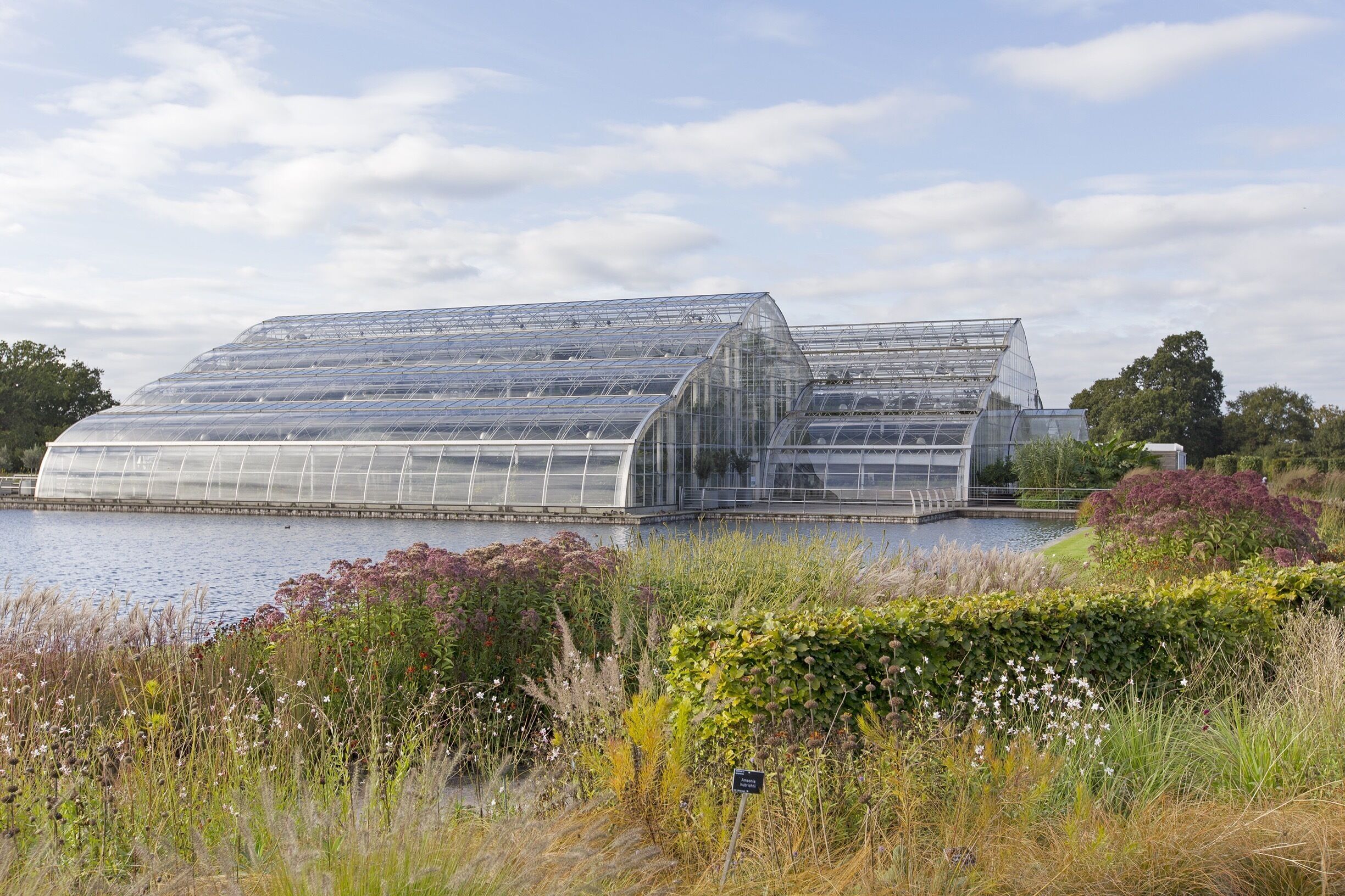 September 2014

The huge Glasshouse at RHS Wisley.

These gardens are amazing. I was lucky enough to be commissioned to do a photo shoot here and having spent the day photographing many areas of the gardens, I was not only amazed by the many species of plants but the size and varied areas of the gardens too.