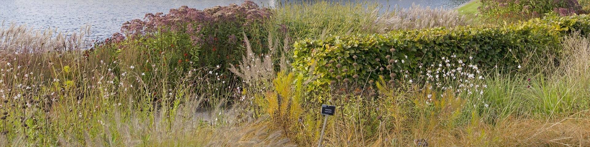 September 2014
The huge Glasshouse at RHS Wisley.
These gardens are amazing. I was lucky enough to be commissioned to do a photo shoot here and having spent the day photographing many areas of the gardens, I was not only amazed by the many species of plants but the size and varied areas of the gardens too.