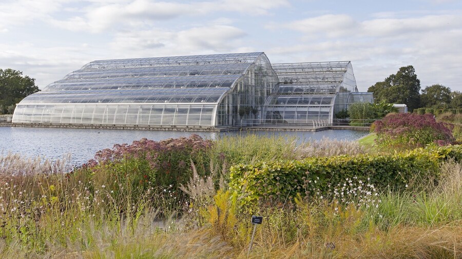September 2014
The huge Glasshouse at RHS Wisley.
These gardens are amazing. I was lucky enough to be commissioned to do a photo shoot here and having spent the day photographing many areas of the gardens, I was not only amazed by the many species of plants but the size and varied areas of the gardens too.