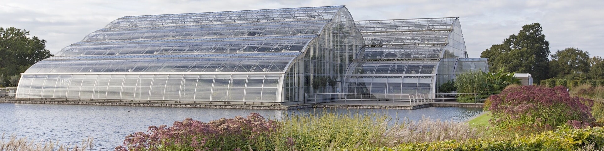 September 2014
The huge Glasshouse at RHS Wisley.
These gardens are amazing. I was lucky enough to be commissioned to do a photo shoot here and having spent the day photographing many areas of the gardens, I was not only amazed by the many species of plants but the size and varied areas of the gardens too.