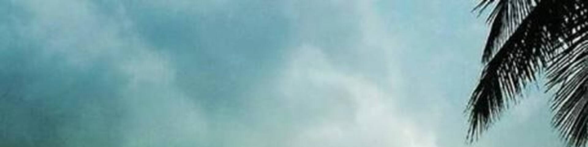 A chameleon sitting on a stone during evening!!!