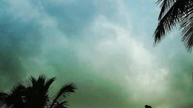 A chameleon sitting on a stone during evening!!!