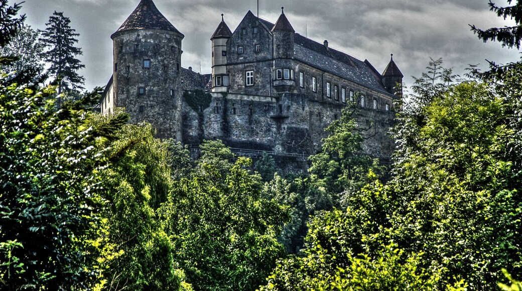 Burg Stettenfels wurde vermutlich im 11 Jhd erbaut. Im Laufe ihrer Geschichte hatte sie eine Unzahl an Besitzern. Unter anderem Anton Fugier, Neffe Jakobs des Reichen, Herzog Karl von Württemberg, die Herren von Helmstadt, Hans Konrad Tumb von Neuenburg usw. Seit 1901 war die Anlage in Privatbesitz. 1937 wurde sie von den Nationalsozialisten im Zuge der Arisierung enteignet und sollte zu einer Ordensburg der NSDAP umgebaut werden. 1951 ging sie wieder an die Erben des rechtmäßigen Besitzers zurück, wurde aber wegen der hohen Unterhaltskosten weiter verkauft. Heute ist sie im Besitz eines Architekten aus Flein. Die Anlage ist öffentlich zugängig und liegt oberhalb des Ortes Untergruppenbach im Kreis Heilbronn.