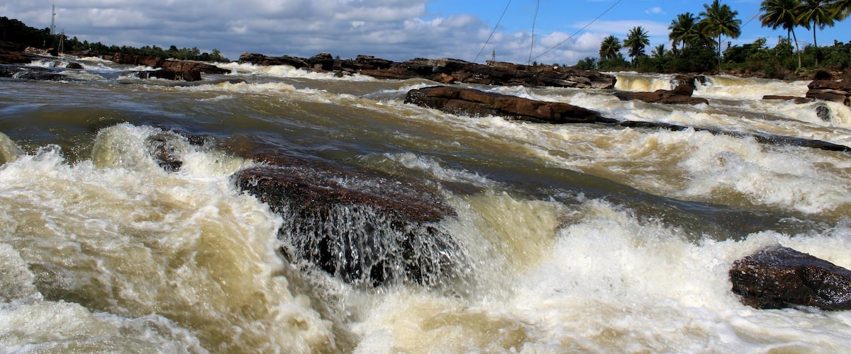 A turbulent river with rocks and palm trees in the background.