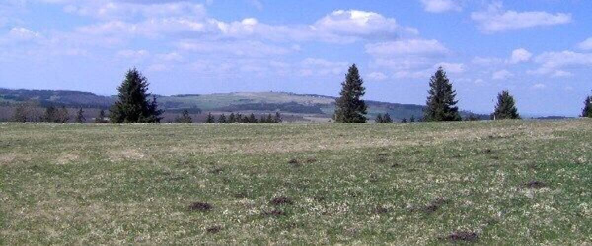 A grassy field with scattered trees and distant hills under a partly cloudy sky.