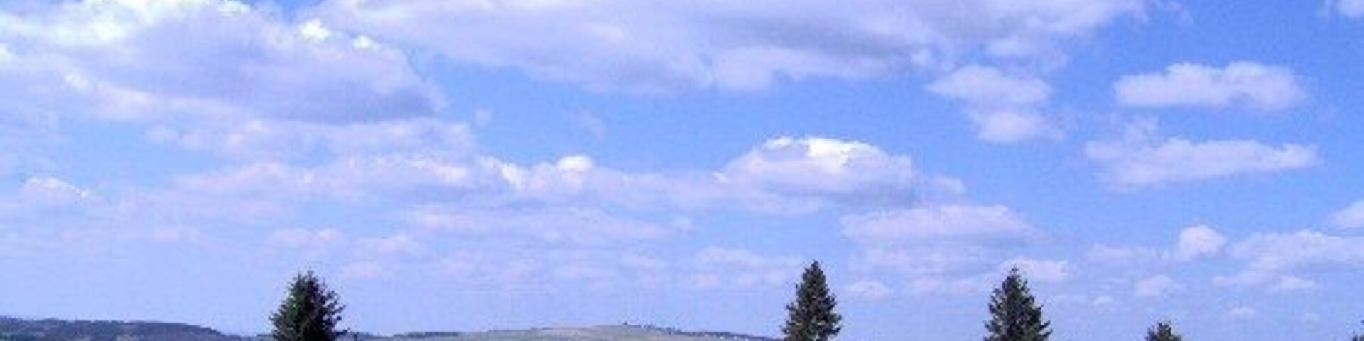 A grassy field with scattered trees and distant hills under a partly cloudy sky.