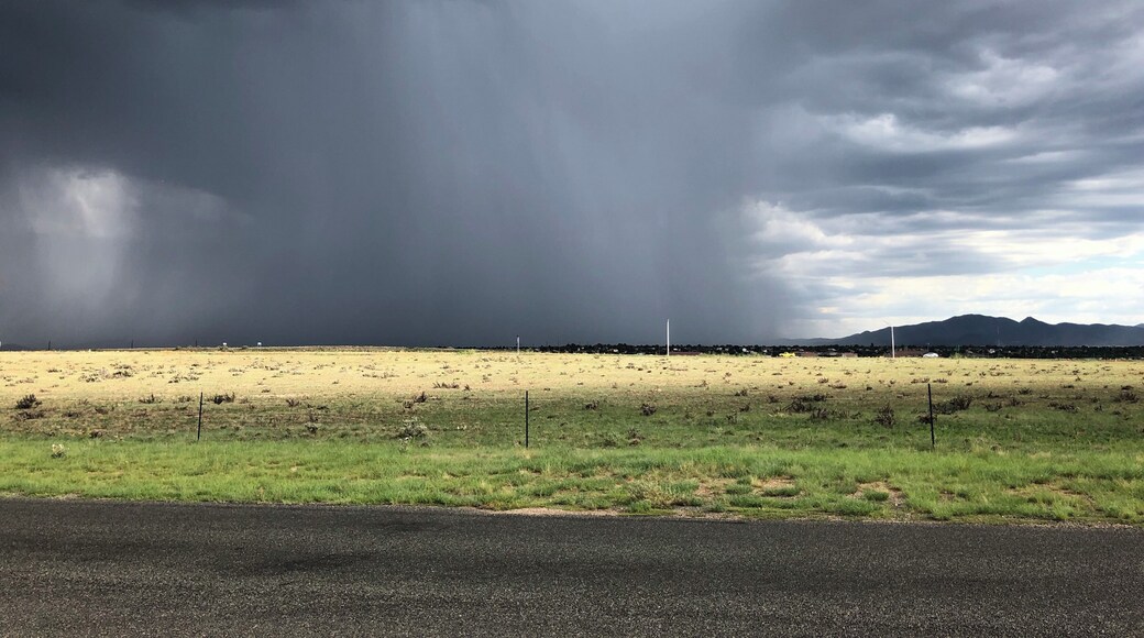 Unleashed
#monsoon
#summer
#thunder
#nature
#epic