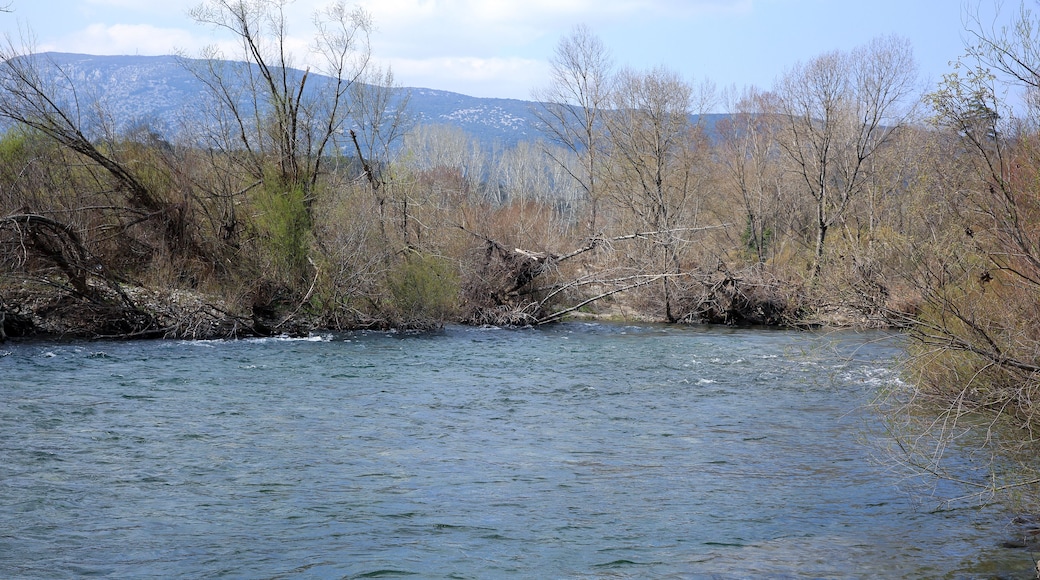 The Herault river one day of winter end.
