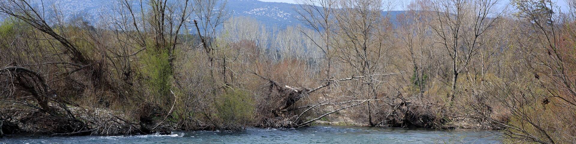 The Herault river one day of winter end.