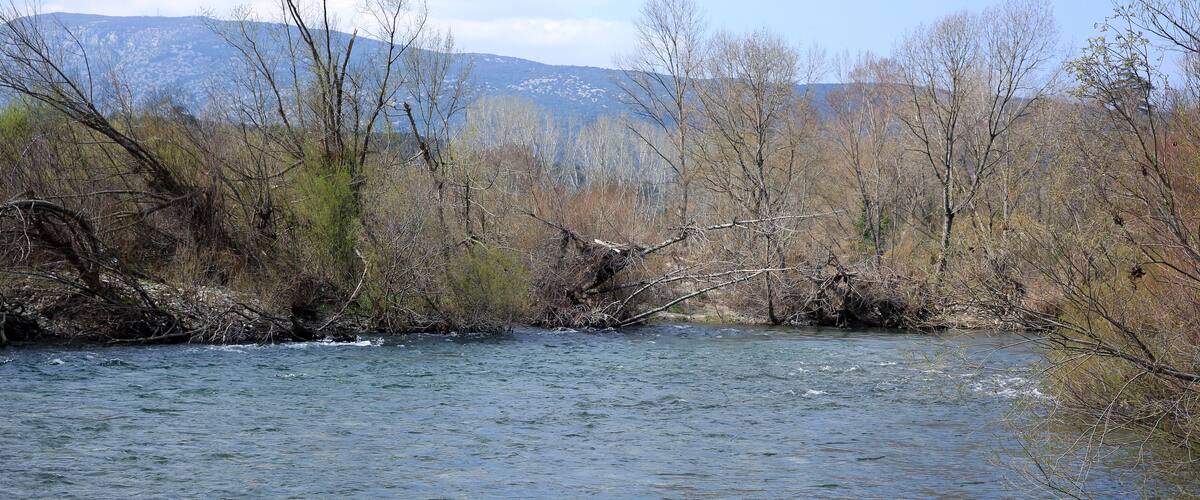 A river flowing through a forested area with bare trees and distant mountains.