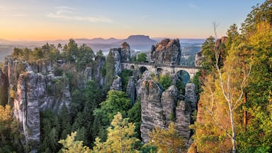 Eine bewaldete Landschaft mit markanten Felsformationen und einem Blick auf einen Sonnenuntergang in der Ferne.