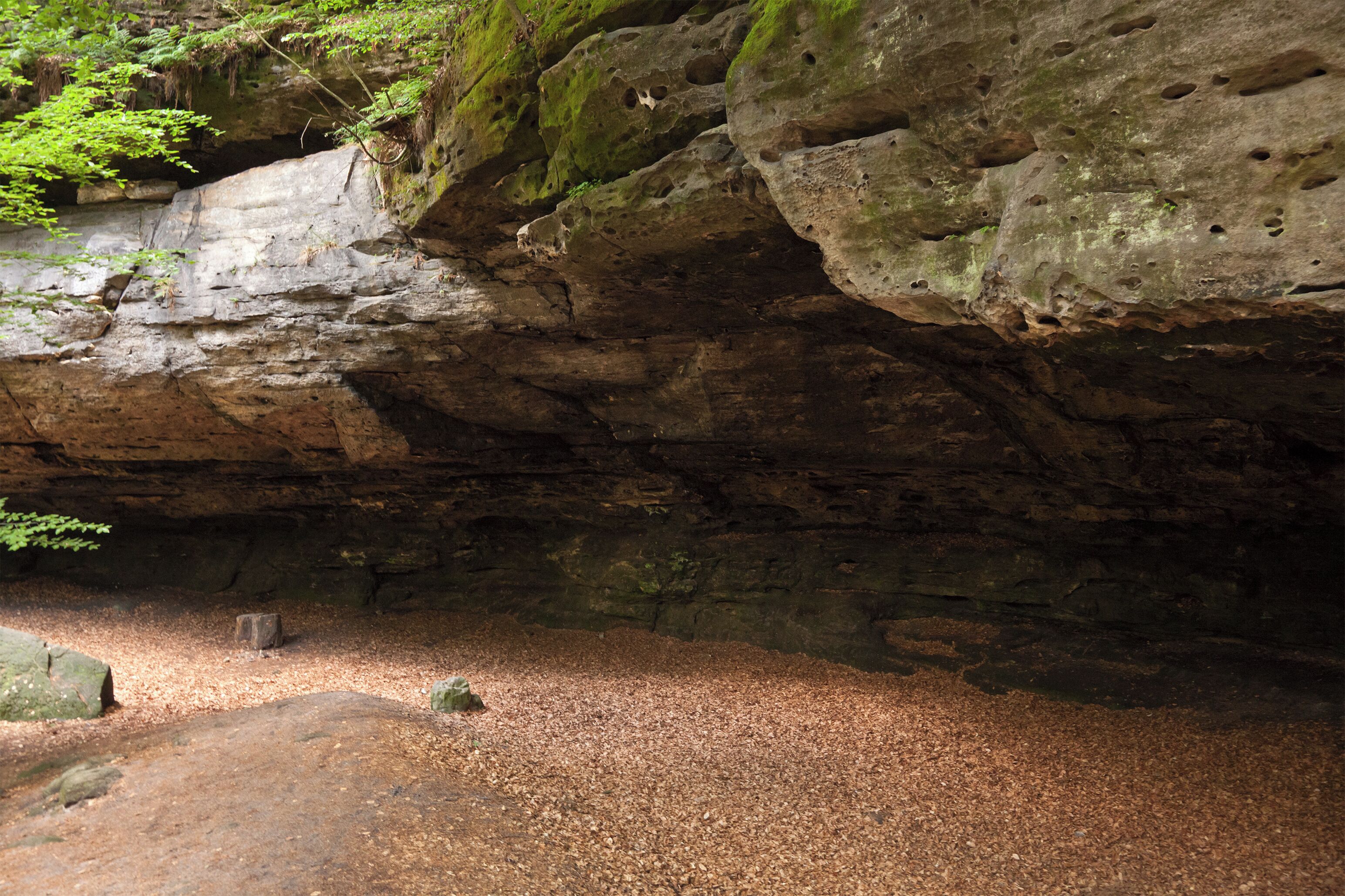 A rocky cave entrance with moss-covered walls and scattered leaves.