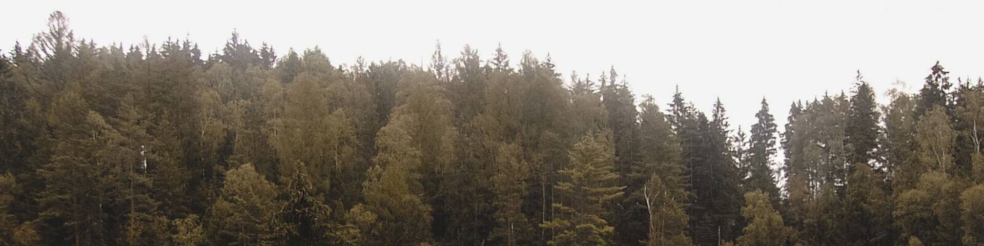 Saxon Switzerland National Park, is a National Park in the German Free State of Saxony, near the Saxon capital Dresden.
It covers two areas of 93.5 km² in the heart of the German part of the Elbe Sandstone Mountains, which is often called Saxon Switzerland.