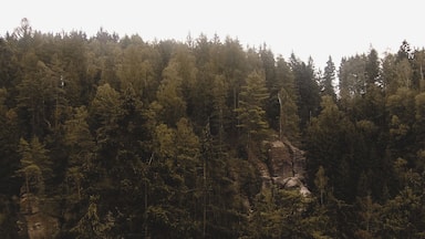 Saxon Switzerland National Park, is a National Park in the German Free State of Saxony, near the Saxon capital Dresden.
It covers two areas of 93.5 km² in the heart of the German part of the Elbe Sandstone Mountains, which is often called Saxon Switzerland.