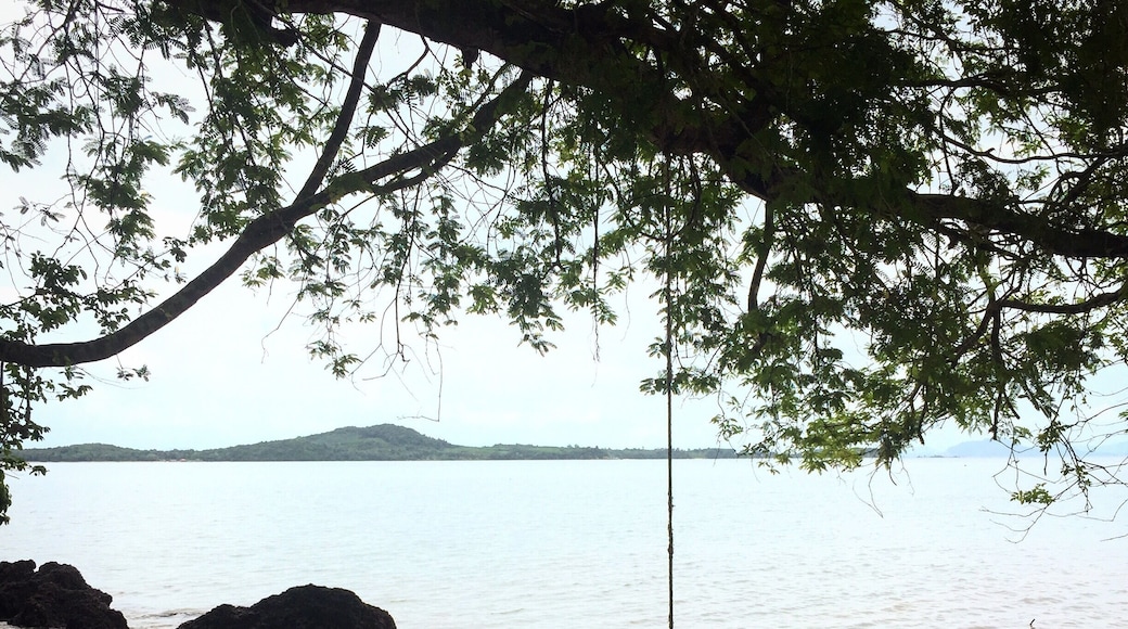 Sit and watch the world go by at the 'terminal point' of Koh Lanta. This is the end point of Koh Lanta. We went in low season and were the only ones there on this particular day
#kohlanta #thailand #2017