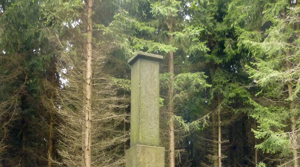 Station 45 der Königlich-Sächsischen Triangulierung auf dem Taubenberg bei Taubenheim/Spree