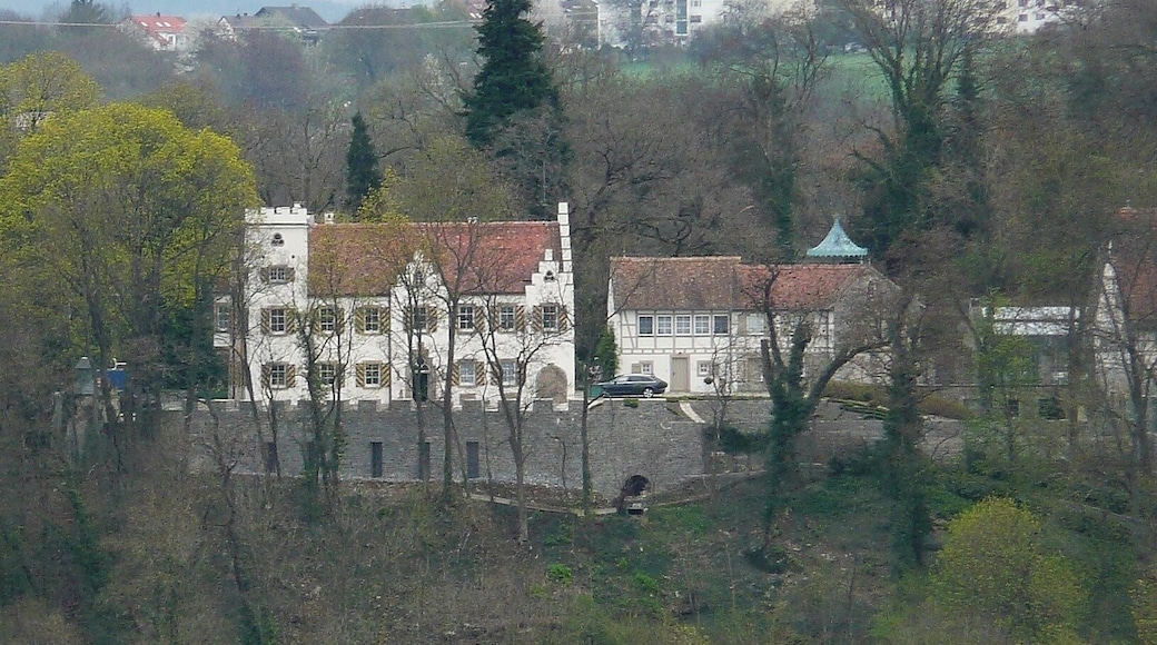 Neckargröningen: Blick auf Schloss Remseck, erbaut 1540, mit Atelier Gisela Ade