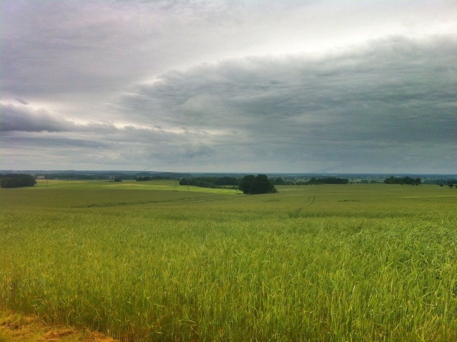 Un extenso campo verde bajo un cielo nublado.