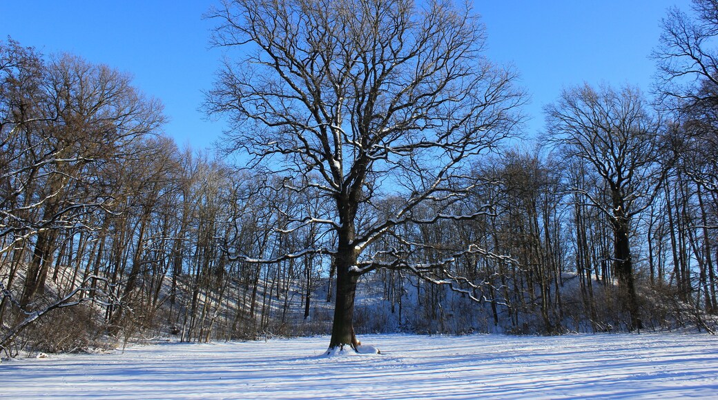 Na Něćinskim hrodźišću.