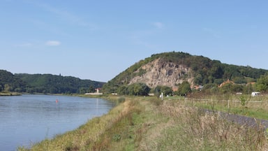 Blick auf Elbe und Bosselmassiv
