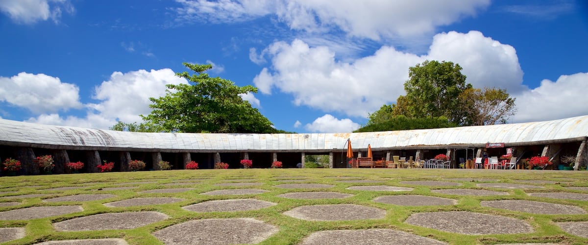 Tops Lookout showing a square or plaza and a garden