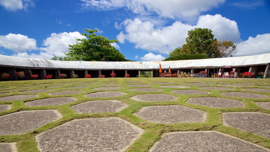 Tops Lookout showing a park and a square or plaza