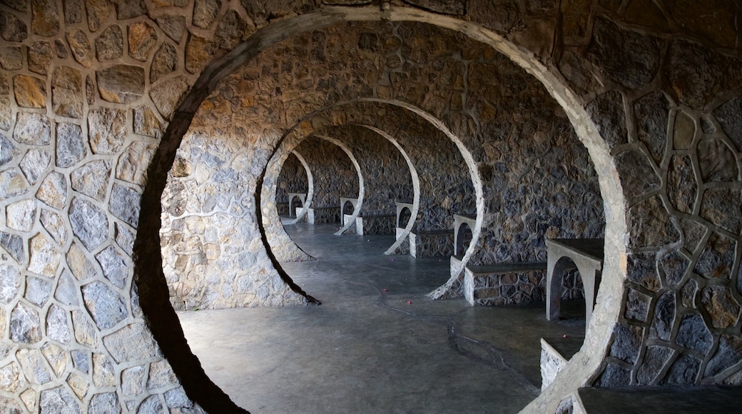 Tops Lookout showing interior views