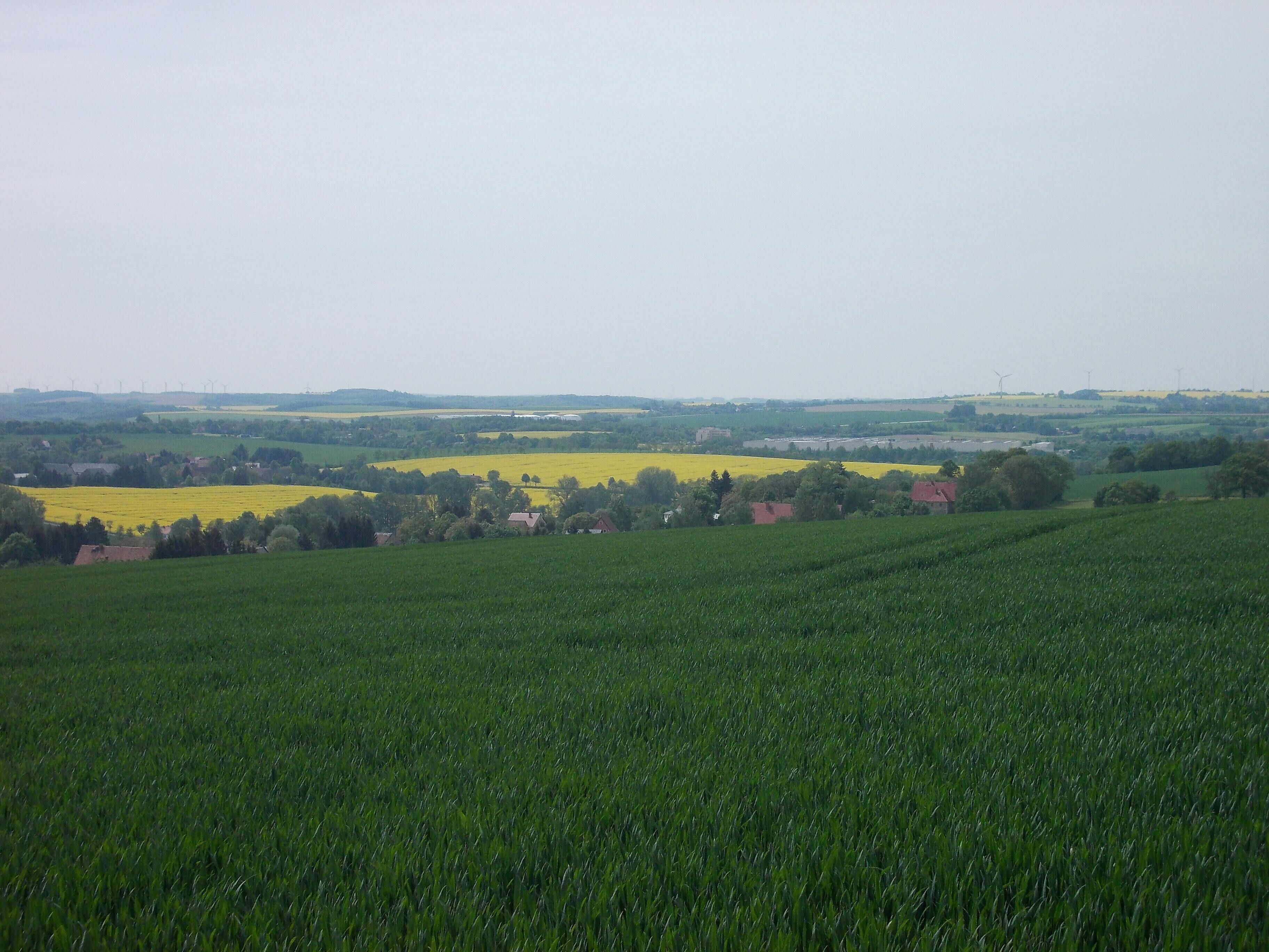 View from Radewitz Hill (Nossen, Meissen district, Saxony)