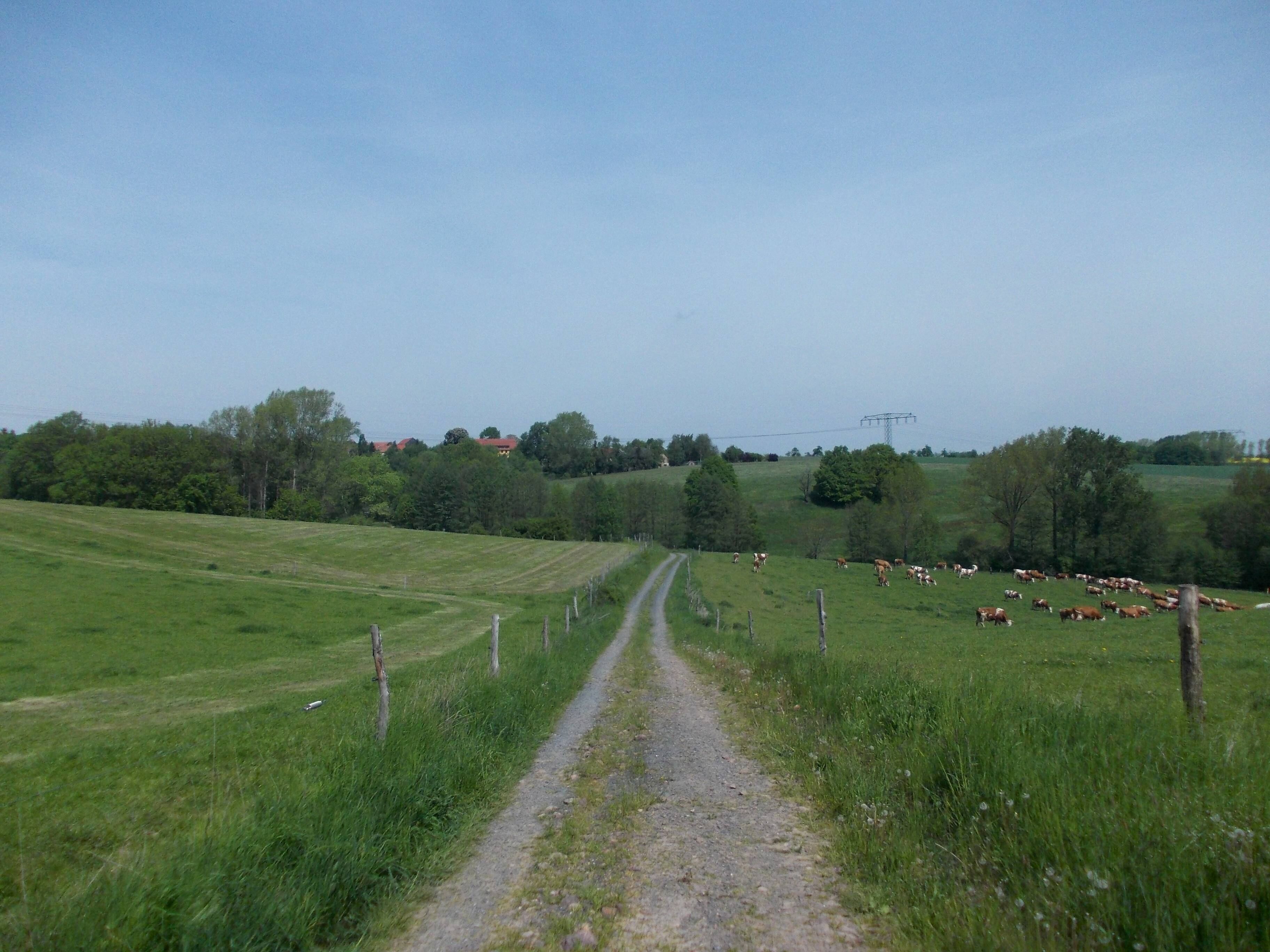 Landscape near Mahlitzsch (Nossen, Meissen district, Saxony)
