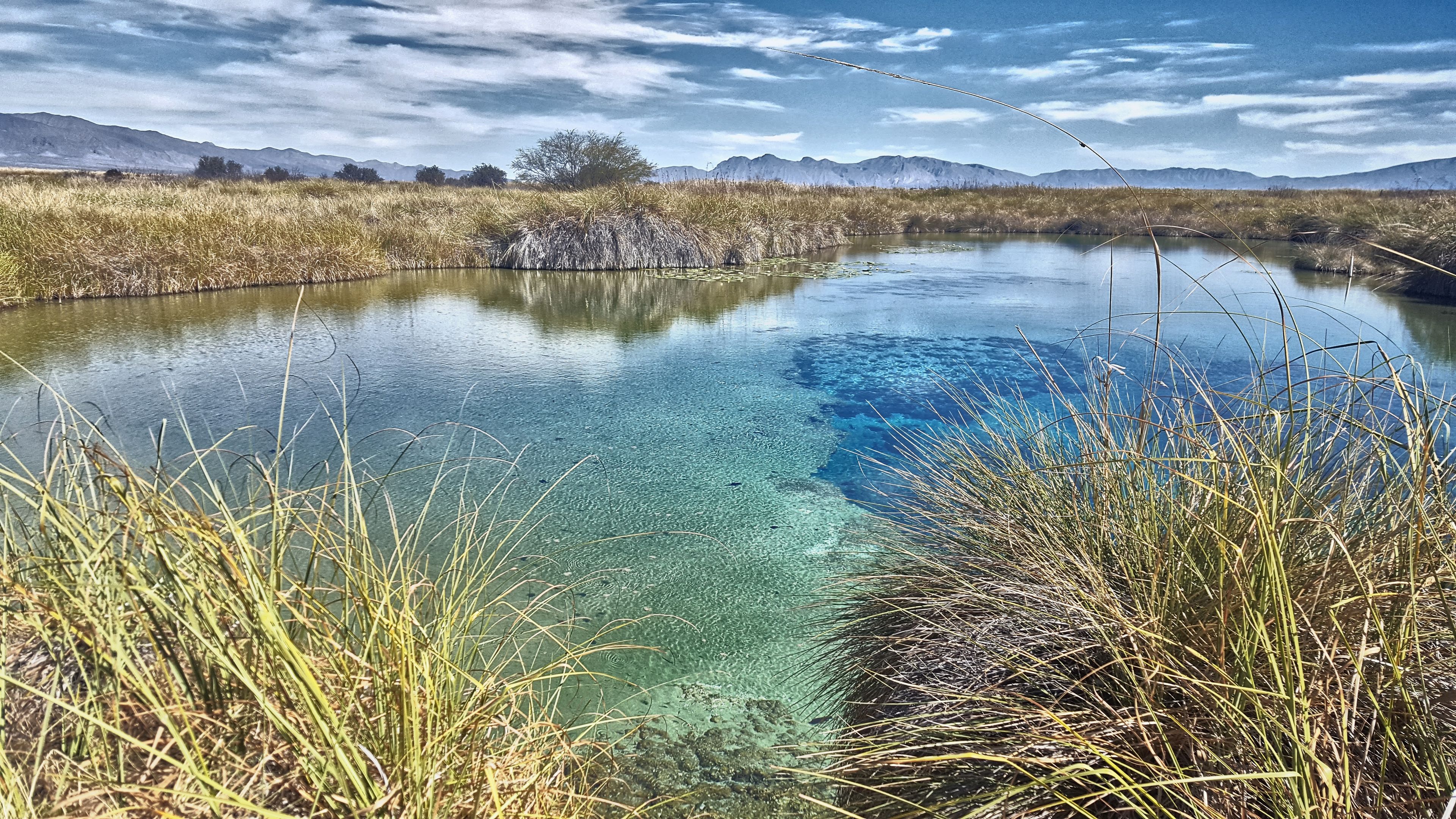 A clear lake surrounded by tall grasses and mountains in the background.