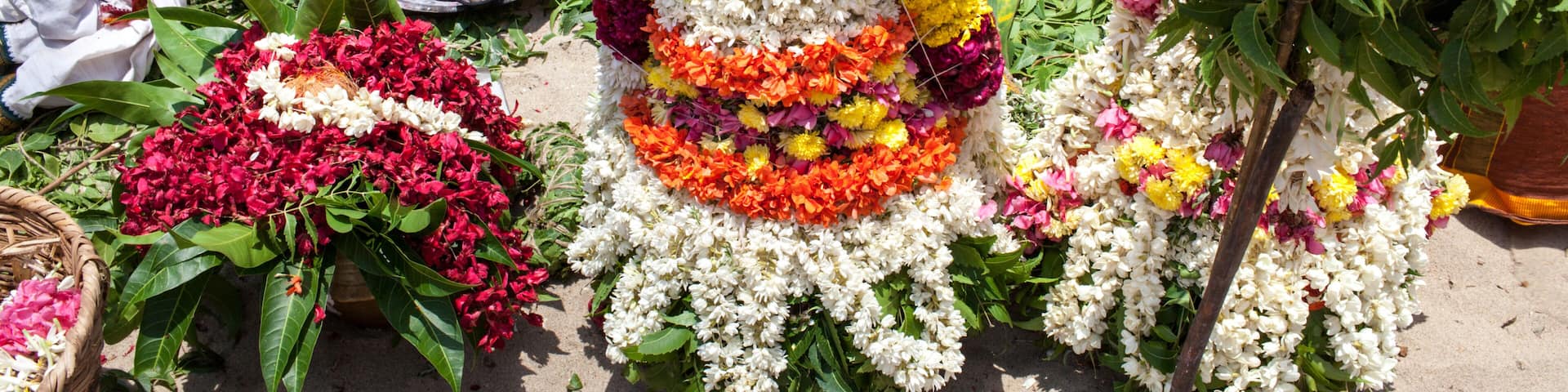 A floral arrangement with a central white flower, surrounded by vibrant colors and greenery.