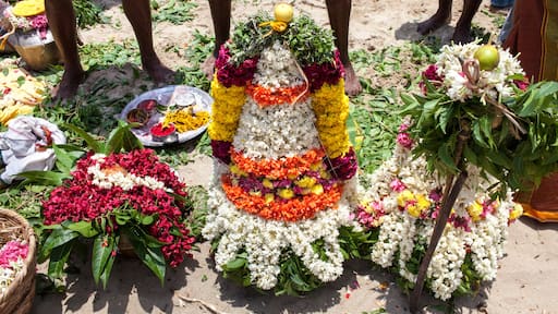 Inde. Préparatif pour la cérémonie d'une Fête hindoue