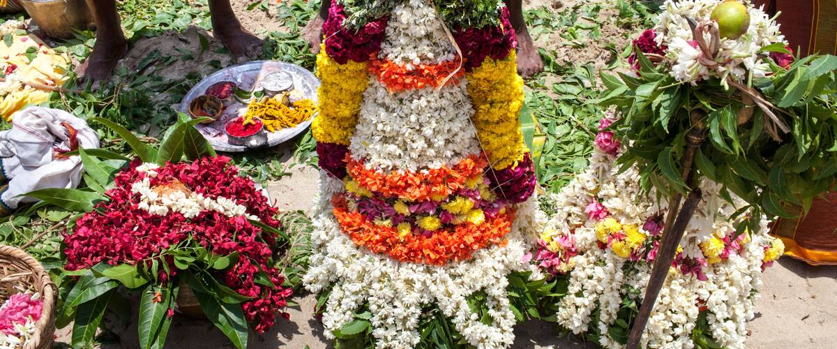 A floral arrangement with a central white flower, surrounded by vibrant colors and greenery.