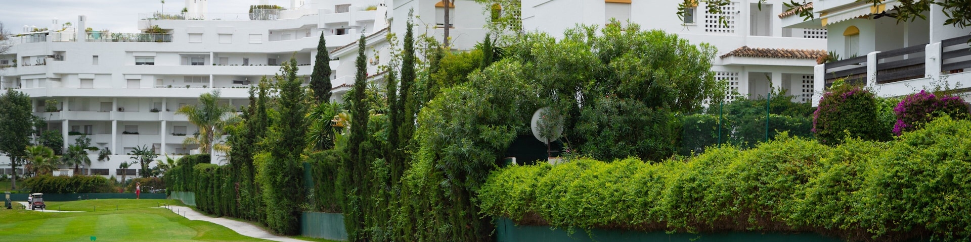 Real Club de Golf Guadalmina which includes golf