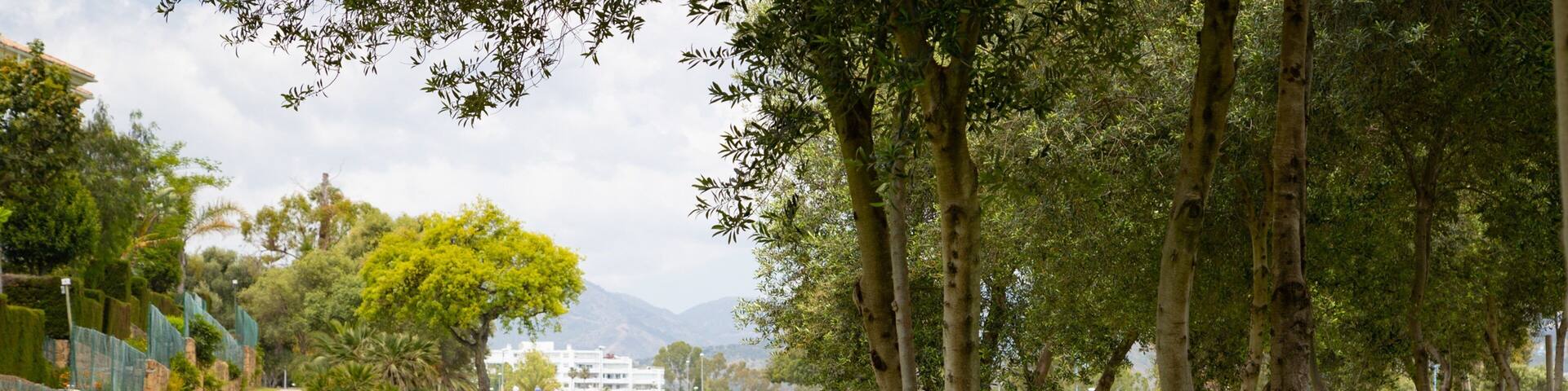 Real Club de Golf Guadalmina featuring golf as well as an individual femail