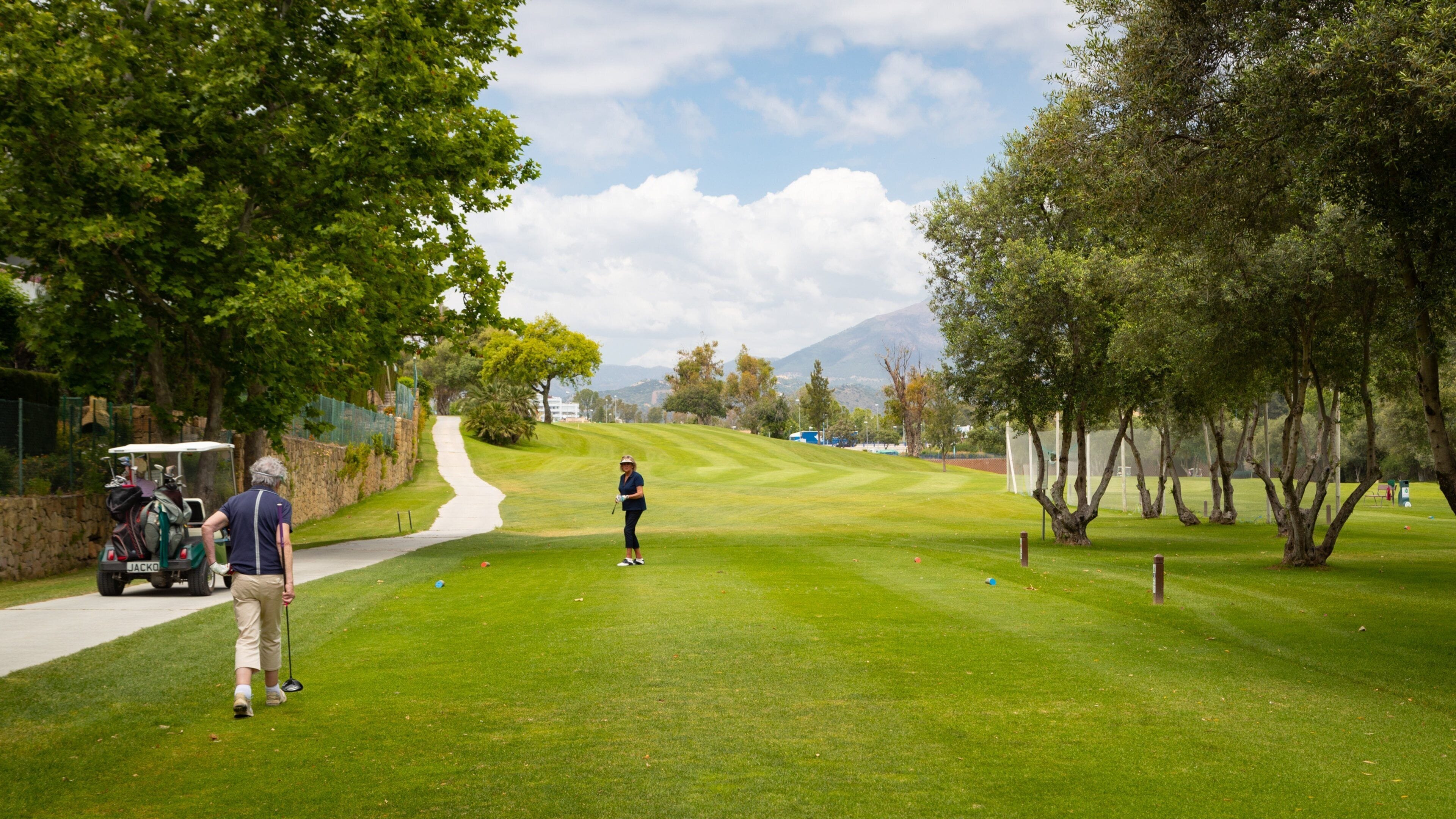 Real Club de Golf Guadalmina which includes golf as well as a small group of people