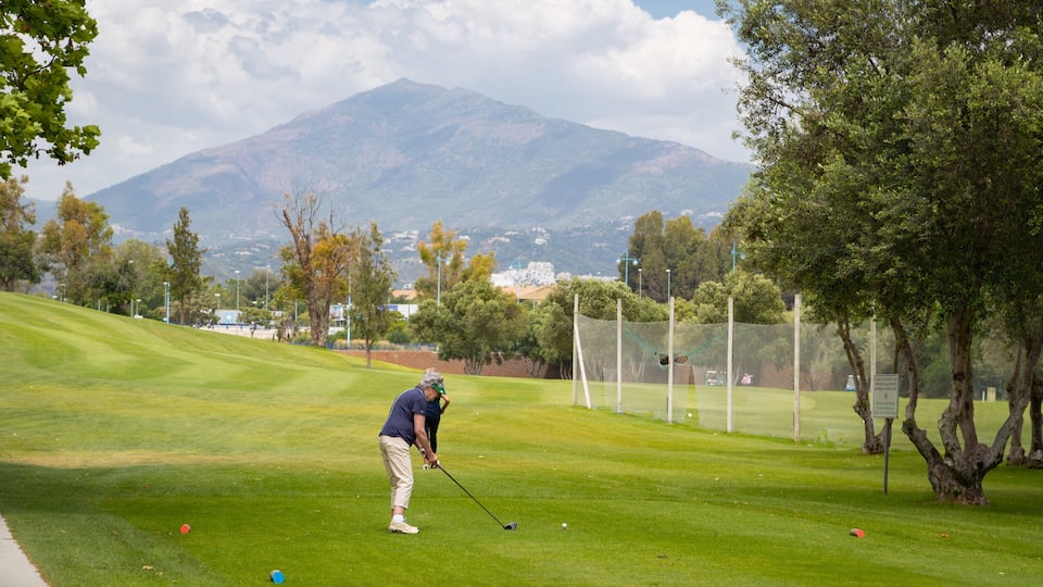 Real Club de Golf Guadalmina which includes golf as well as an individual femail