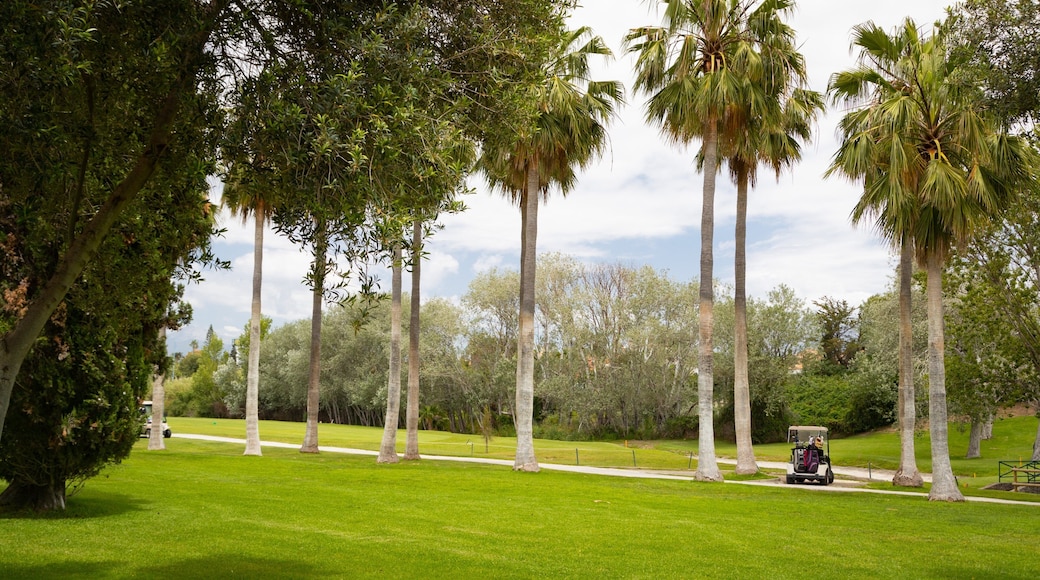 Real Club de Golf Guadalmina which includes golf