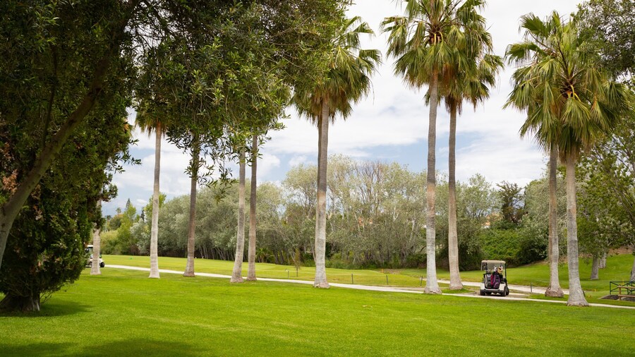 Real Club de Golf Guadalmina which includes golf